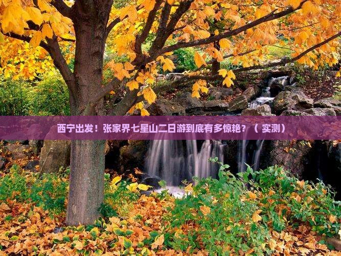 西宁去张家界七星山二日游