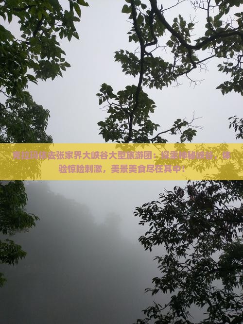 克拉玛依去张家界大峡谷大型旅游团