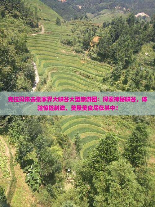 克拉玛依去张家界大峡谷大型旅游团