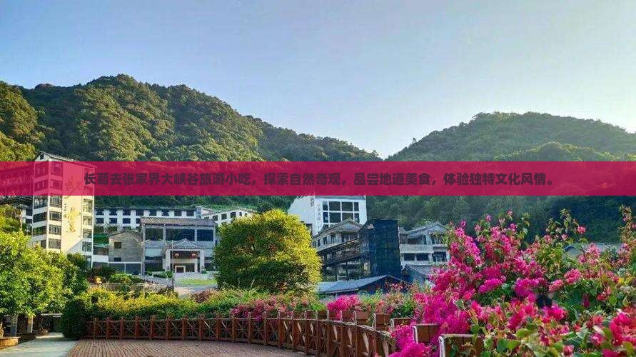 长葛去张家界大峡谷旅游小吃
