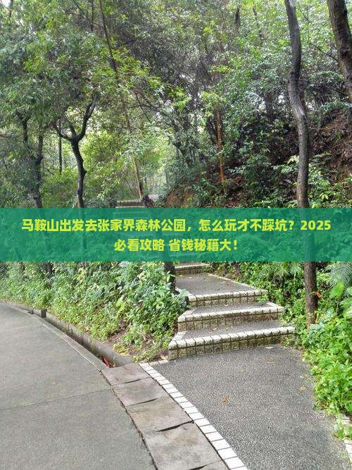 马鞍山去张家界森林公园哪里玩