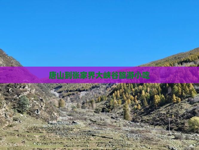 唐山到张家界大峡谷旅游小吃
