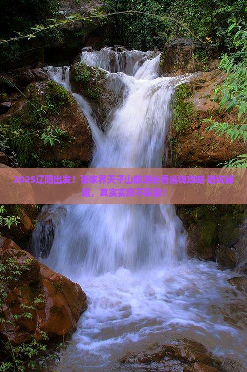 辽阳到张家界天子山旅游