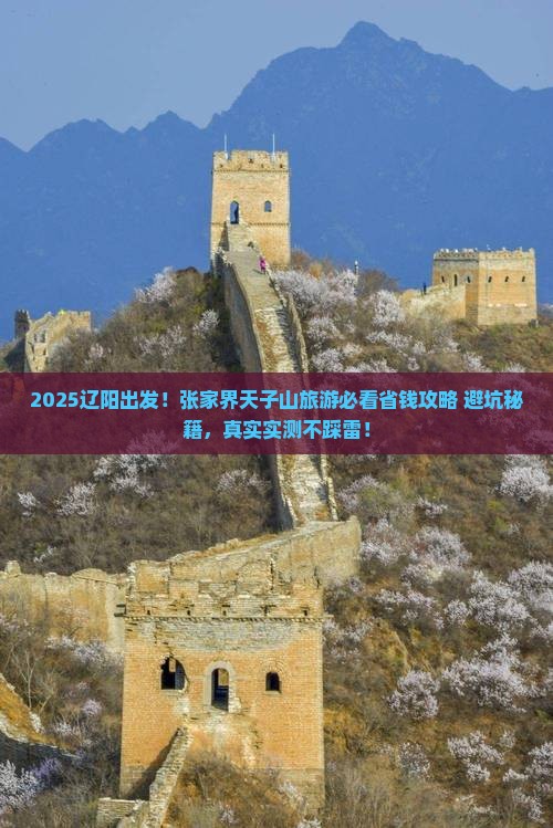 辽阳到张家界天子山旅游
