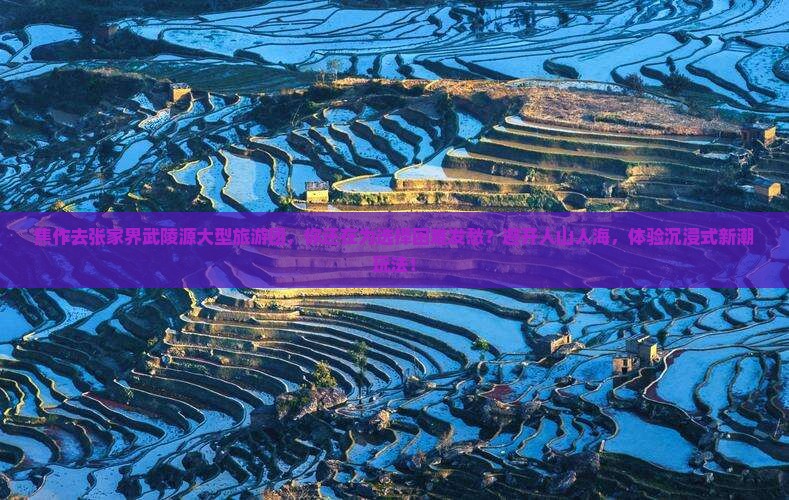 焦作去张家界武陵源大型旅游团