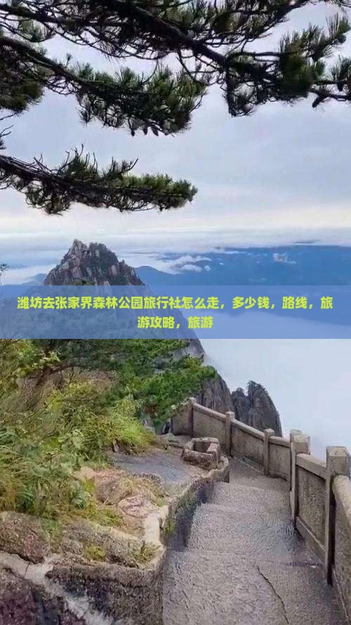 潍坊去张家界森林公园旅行社