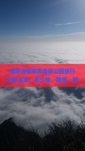 潍坊去张家界森林公园旅行社