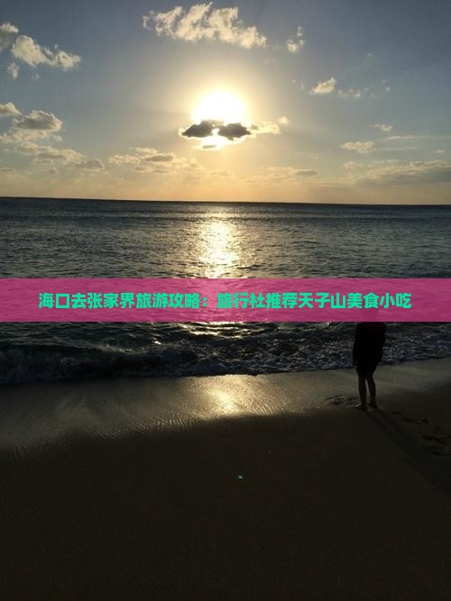海口去张家界天子山旅游小吃