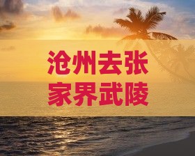 沧州去张家界武陵源自由行