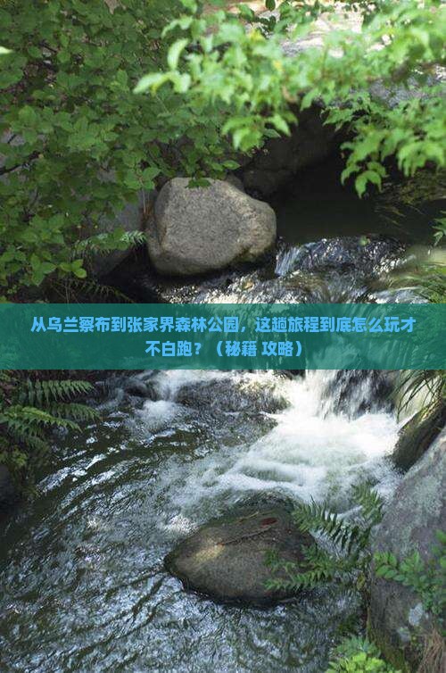乌兰察布到张家界森林公园哪里玩
