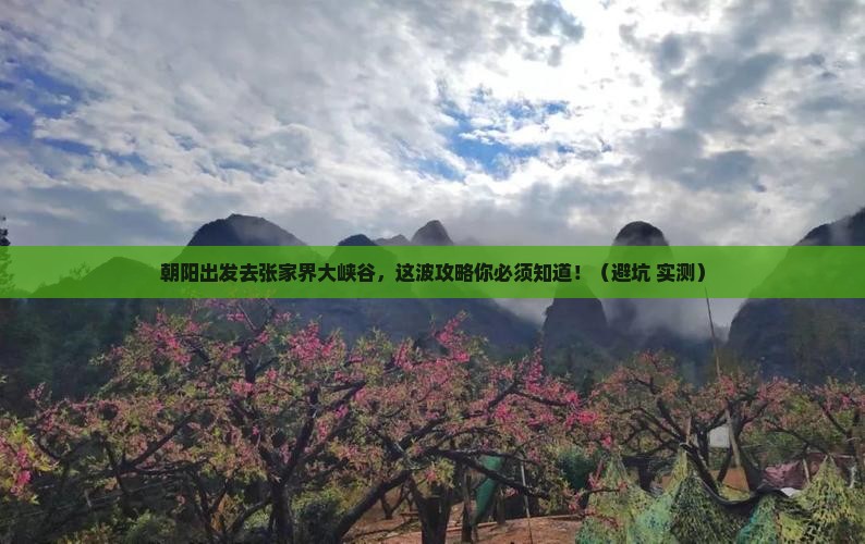 朝阳去张家界大峡谷旅游