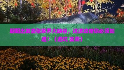 朝阳去张家界大峡谷旅游