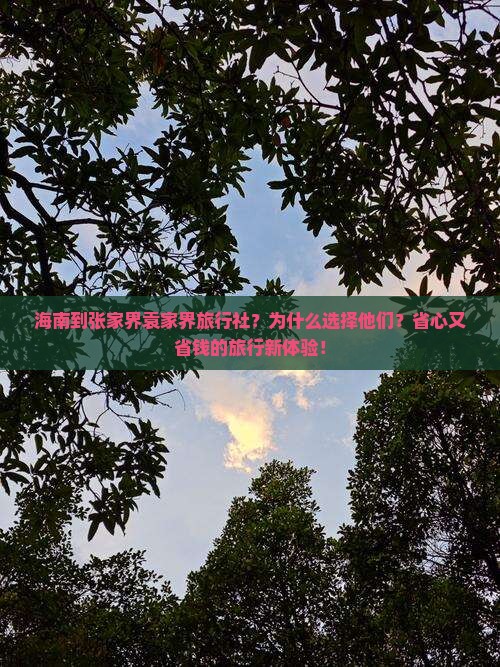 海南到张家界袁家界旅行社
