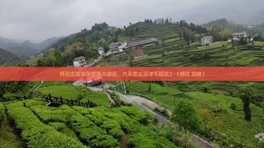 怀化到张家界大峡谷六日游
