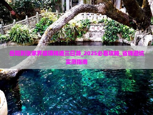 岳阳到张家界玻璃栈道三日游