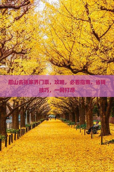 眉山去张家界门票