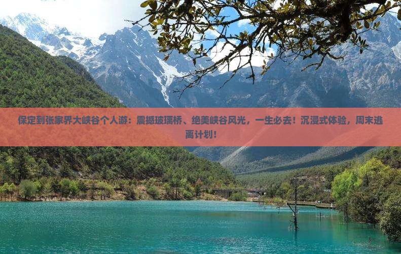保定到张家界大峡谷个人游