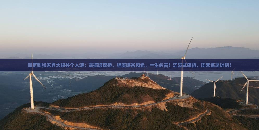 保定到张家界大峡谷个人游
