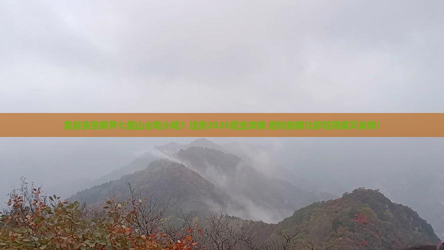 龙岩去张家界七星山旅游小吃