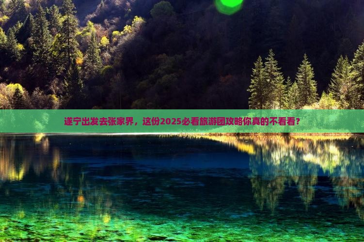 遂宁到张家界大型旅游团