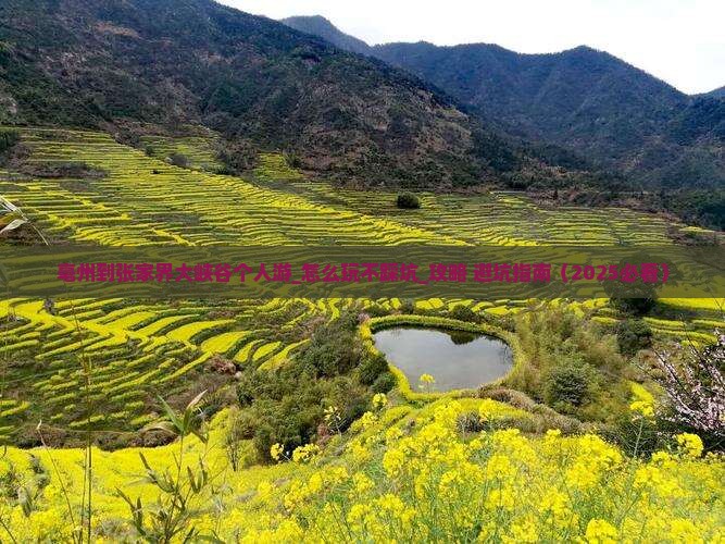 亳州到张家界大峡谷个人游