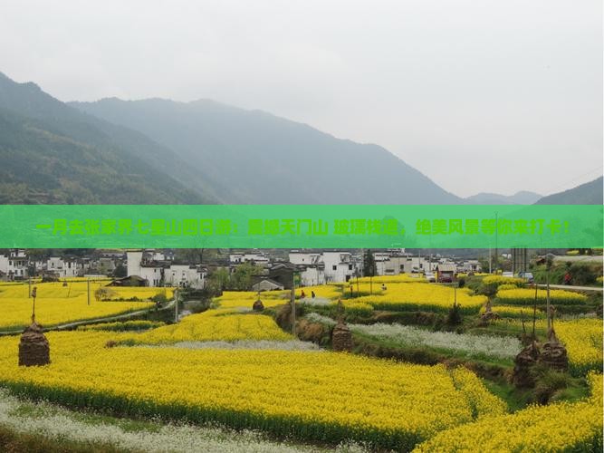 一月去张家界七星山四日游