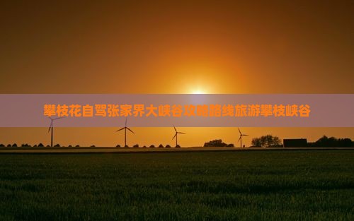 攀枝花到张家界大峡谷一日