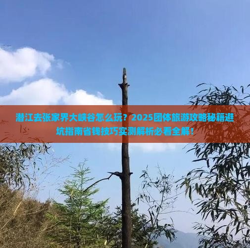 潜江去张家界大峡谷团体旅游