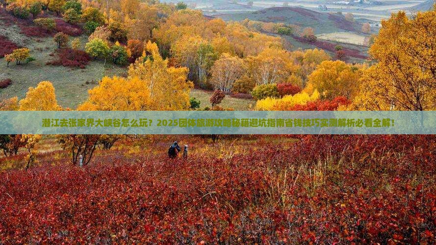 潜江去张家界大峡谷团体旅游