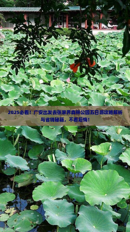 广安去张家界森林公园五日游