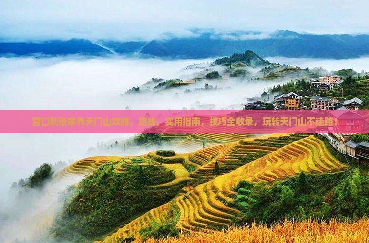 营口到张家界天门山攻略
