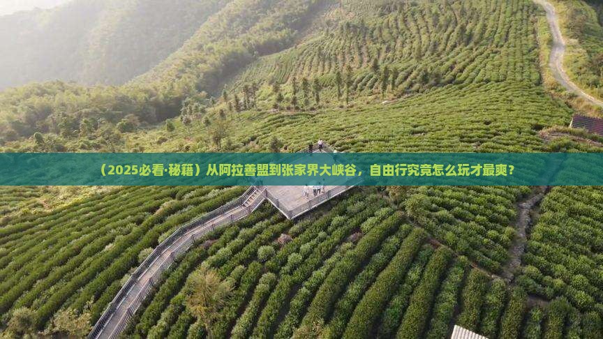 阿拉善盟去张家界大峡谷自由行