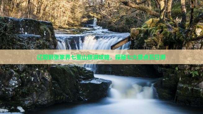 辽阳去张家界七星山五日游