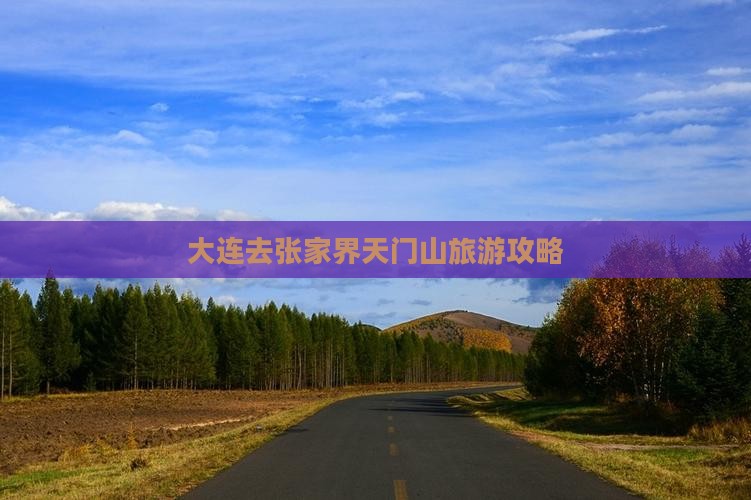 大连去张家界天门山旅游