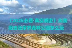 濮阳到张家界森林公园哪里玩
