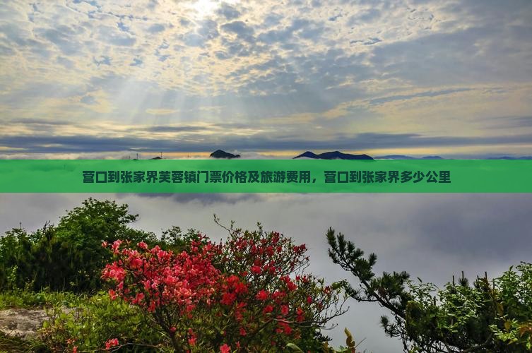营口到张家界芙蓉镇门票