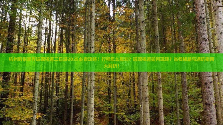 杭州到张家界玻璃栈道二日游
