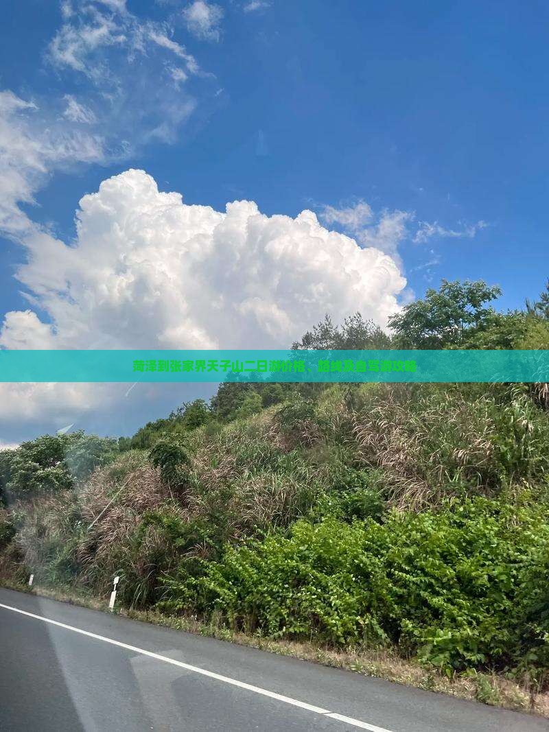 菏泽到张家界天子山二日游