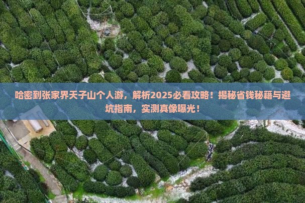 哈密到张家界天子山个人游