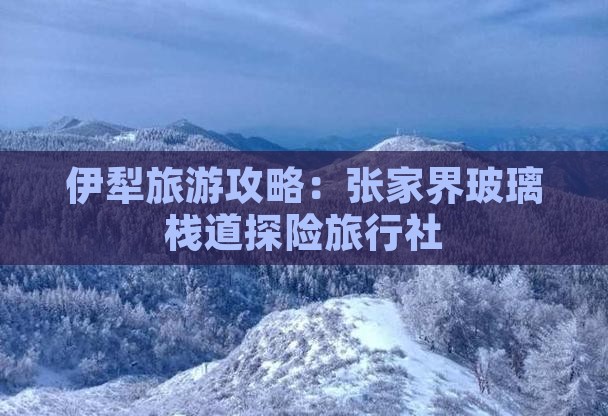 伊犁去张家界玻璃栈道旅行社