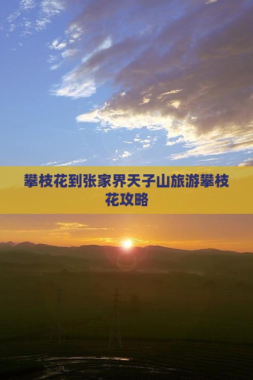 攀枝花到张家界天子山团体旅游