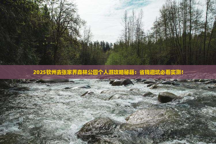 钦州去张家界森林公园个人游