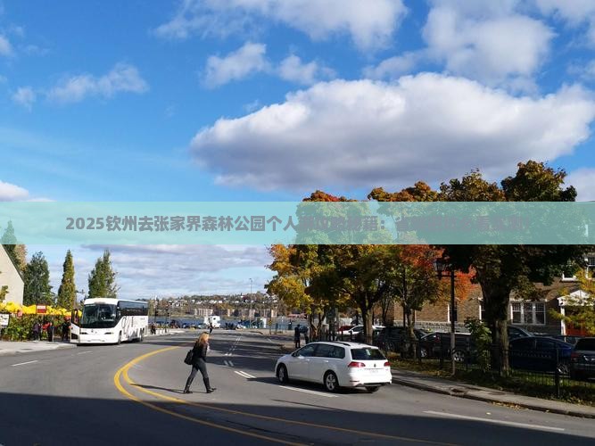 钦州去张家界森林公园个人游