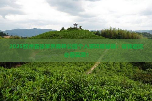 钦州去张家界森林公园个人游