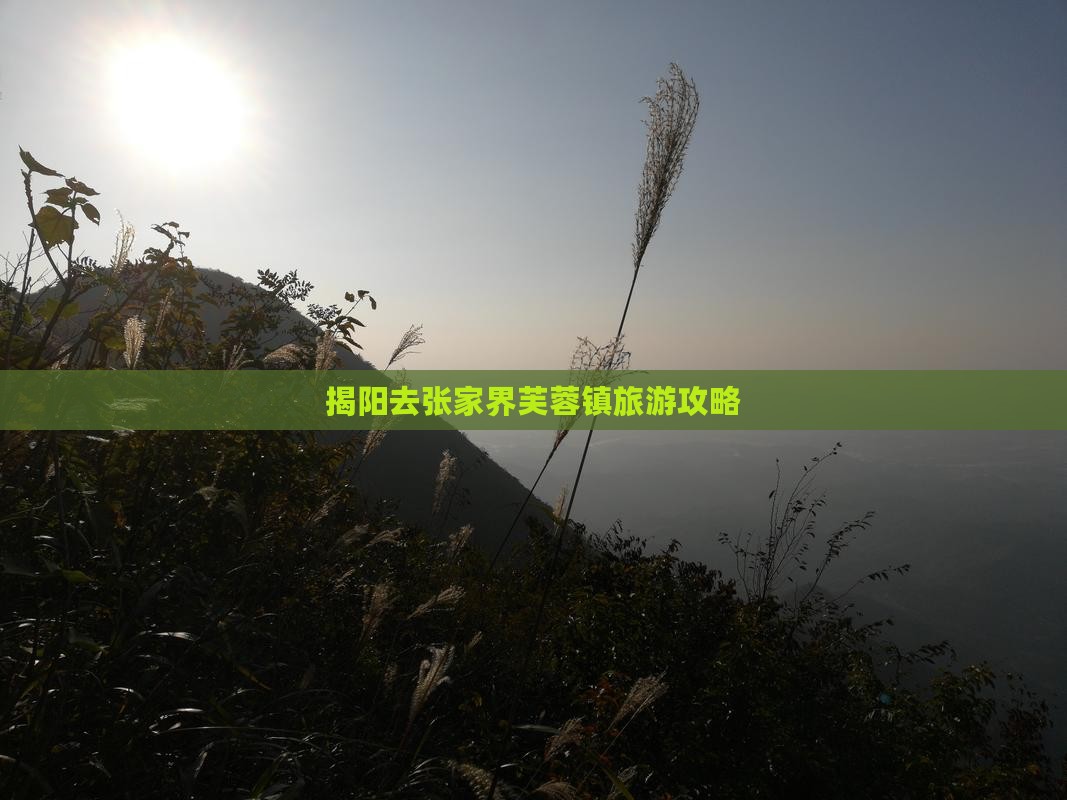 揭阳去张家界芙蓉镇旅游