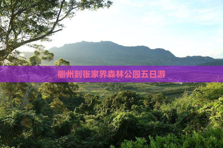 衢州到张家界森林公园五日游