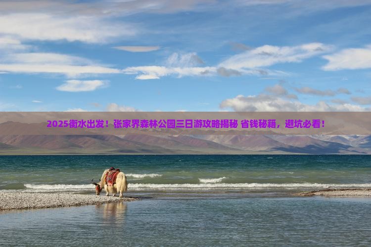 衡水到张家界森林公园三日游