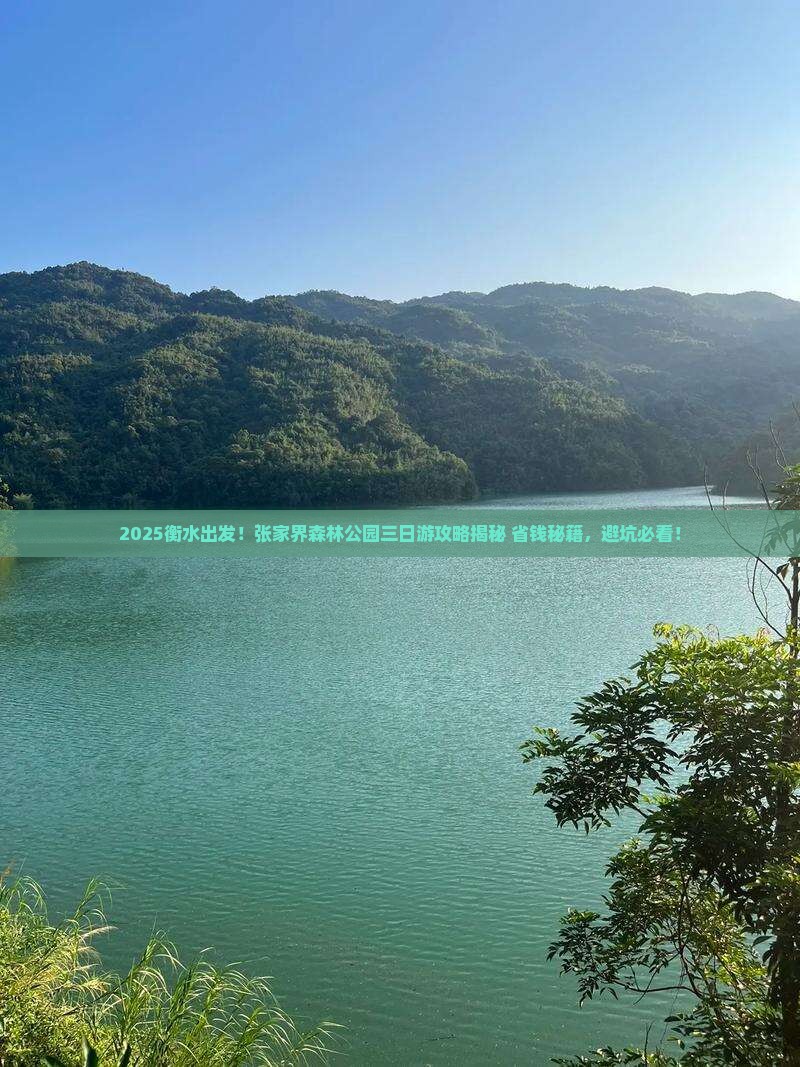 衡水到张家界森林公园三日游