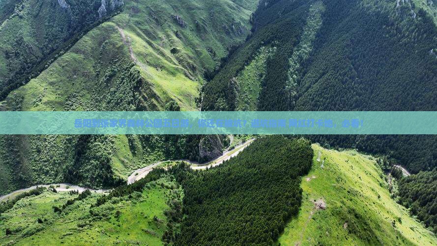 岳阳到张家界森林公园五日游