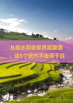 丽水到张家界武陵源必去地
